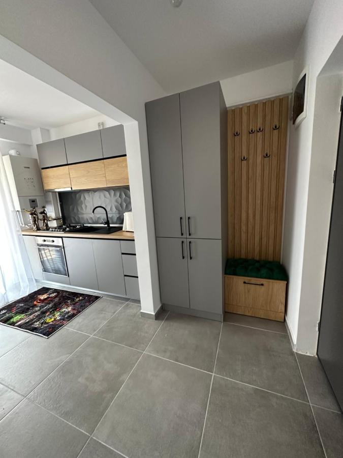 גורה הומורולווי Apartamente Arinis מראה חיצוני תמונה
