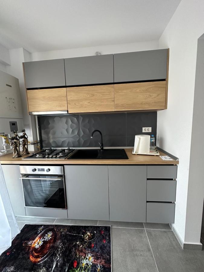 גורה הומורולווי Apartamente Arinis מראה חיצוני תמונה