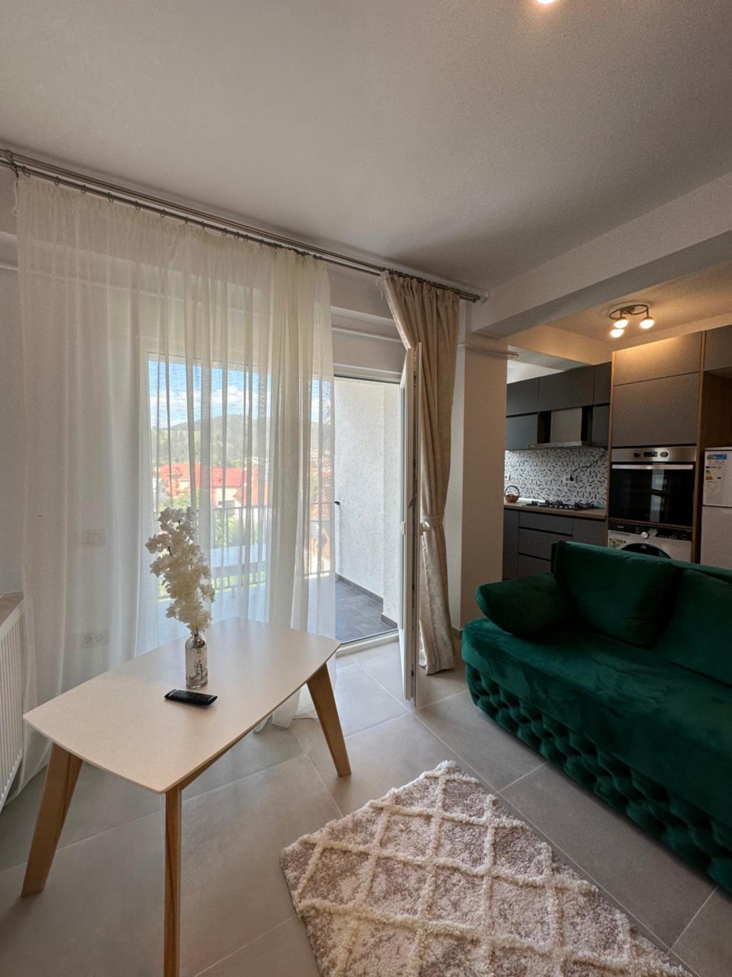 גורה הומורולווי Apartamente Arinis מראה חיצוני תמונה